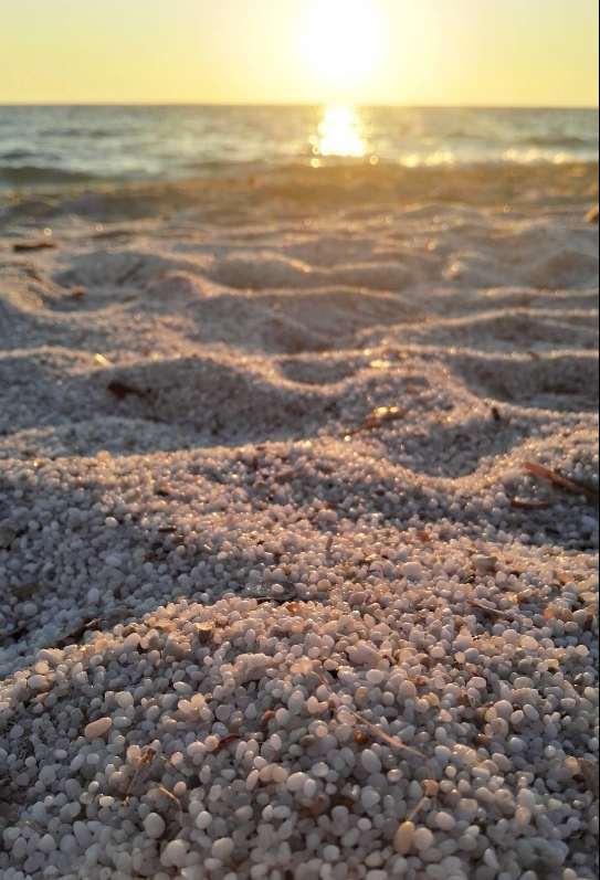 Rustig strand Sardinië surfen golfsurfen